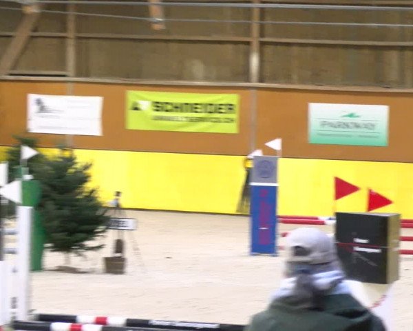 Reitturnier Dielsdorf 2024