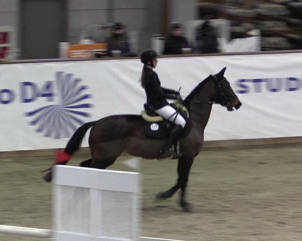 Reitturnier Prussendorf 2024