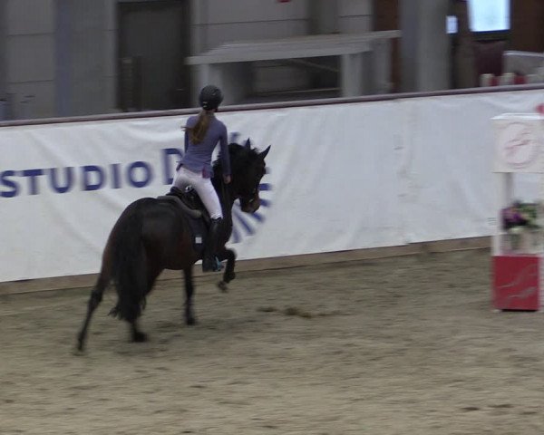 Reitturnier Prussendorf 2024
