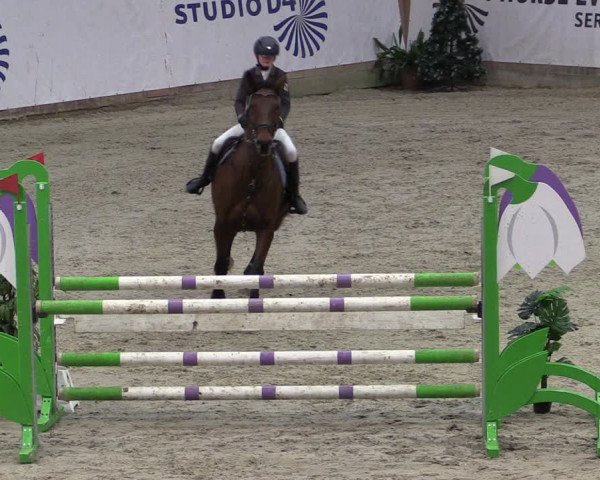 Reitturnier Prussendorf 2024