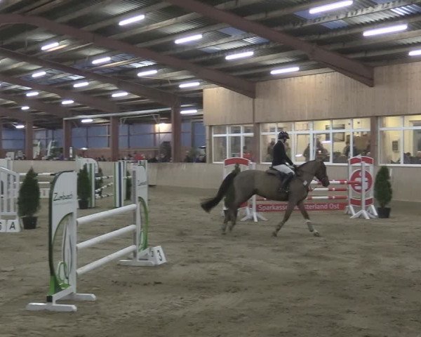Reitturnier Ostenfelde-Vornholz 2024