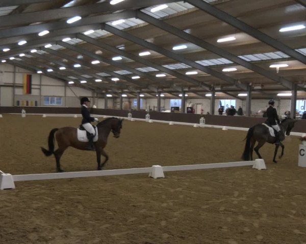 Reitturnier Bottrop-Kirchhellen 2024