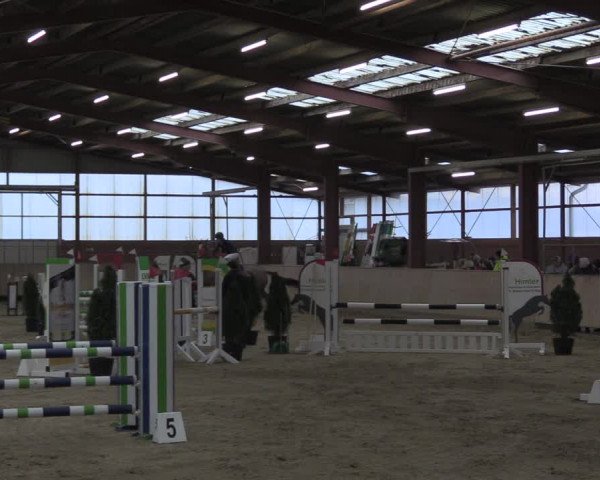 Reitturnier Ostenfelde-Vornholz 2024