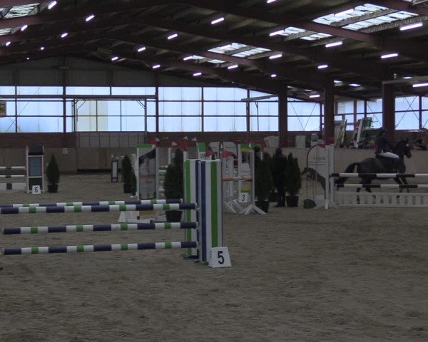 Reitturnier Ostenfelde-Vornholz 2024