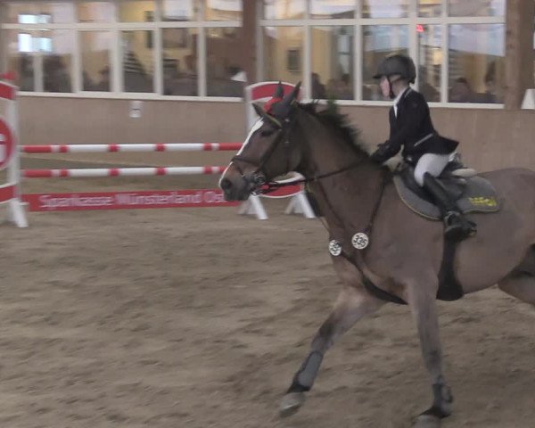Reitturnier Ostenfelde-Vornholz 2024