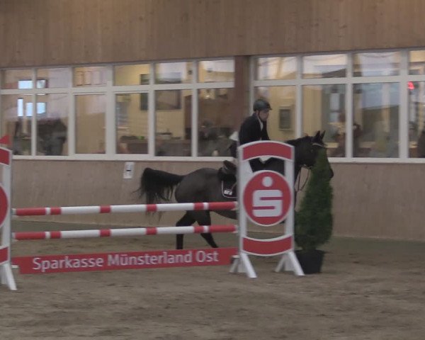 Reitturnier Ostenfelde-Vornholz 2024