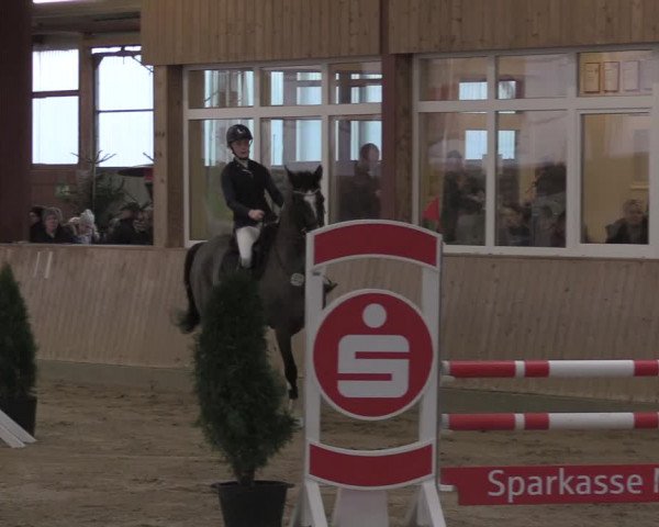 Reitturnier Ostenfelde-Vornholz 2024