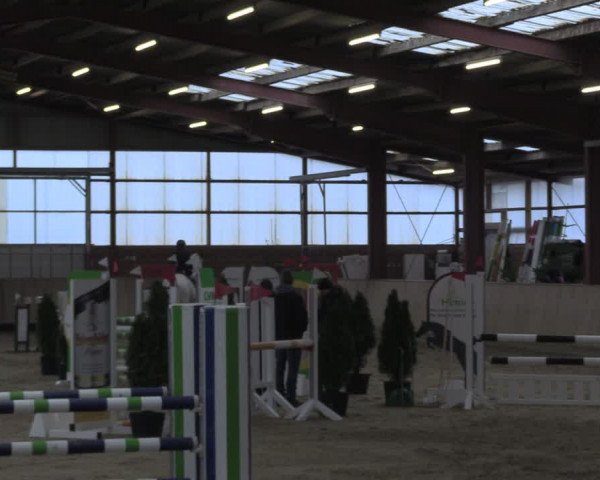 Reitturnier Ostenfelde-Vornholz 2024