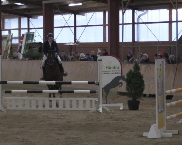 Reitturnier Ostenfelde-Vornholz 2024