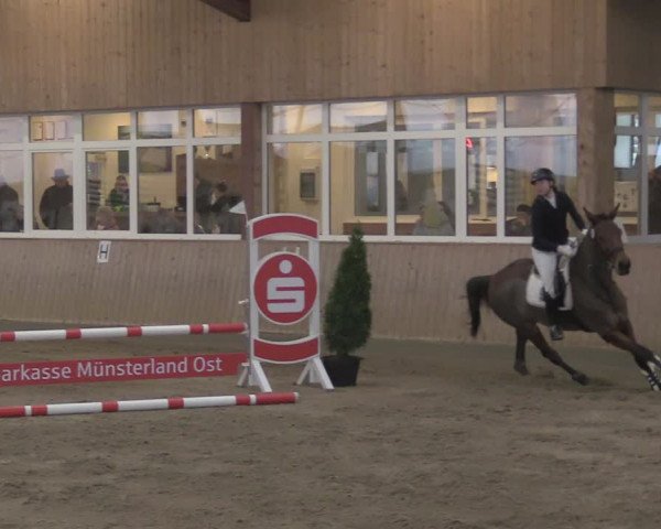 Reitturnier Ostenfelde-Vornholz 2024