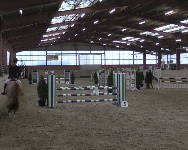 Reitturnier Ostenfelde-Vornholz 2024