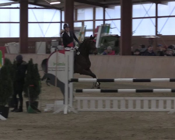 Reitturnier Ostenfelde-Vornholz 2024