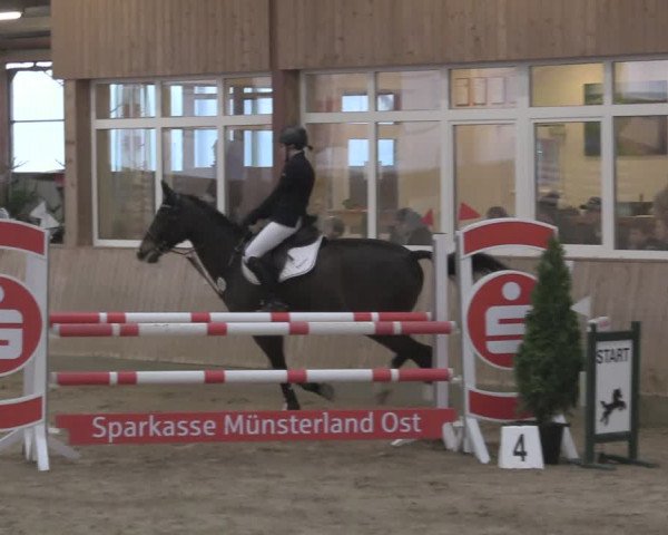 Reitturnier Ostenfelde-Vornholz 2024