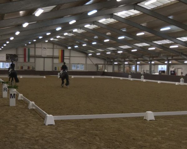 Reitturnier Bottrop-Kirchhellen 2024