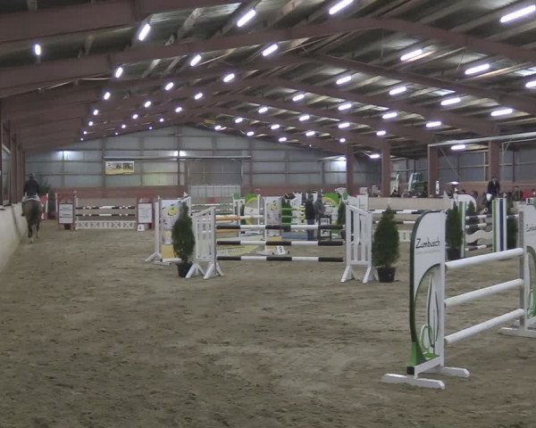 Reitturnier Ostenfelde-Vornholz 2024
