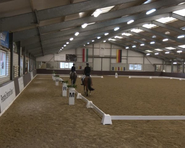 Reitturnier Bottrop-Kirchhellen 2024