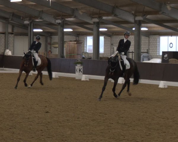 Reitturnier Bottrop-Kirchhellen 2024