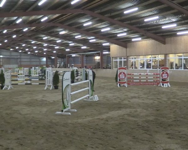 Reitturnier Ostenfelde-Vornholz 2024