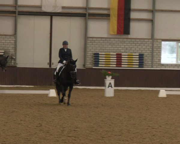 Reitturnier Bottrop-Kirchhellen 2024