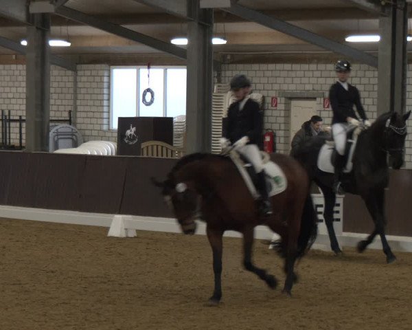 Reitturnier Bottrop-Kirchhellen 2024
