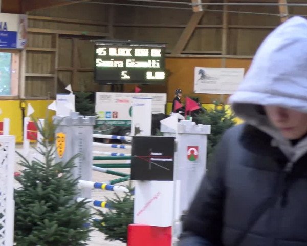 Reitturnier Dielsdorf 2024