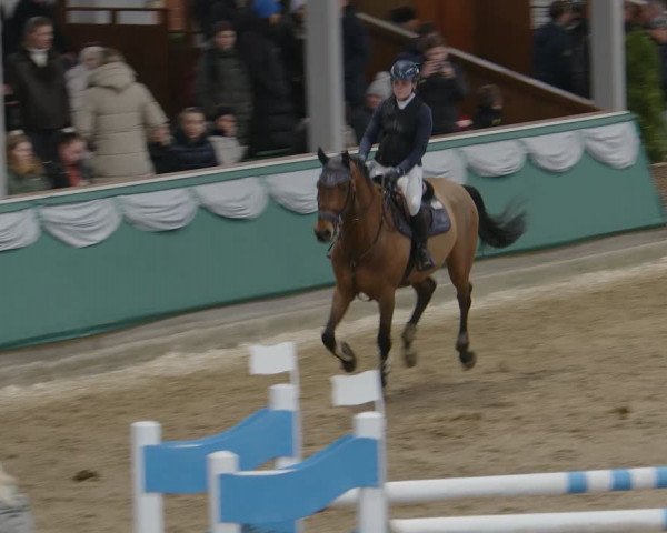 Reitturnier Gahlen 2024