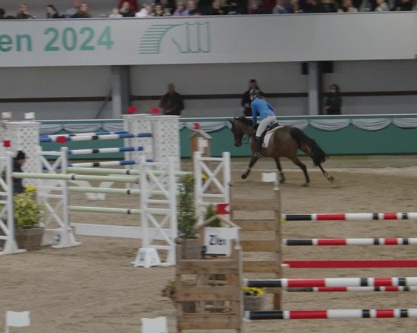 Reitturnier Gahlen 2024
