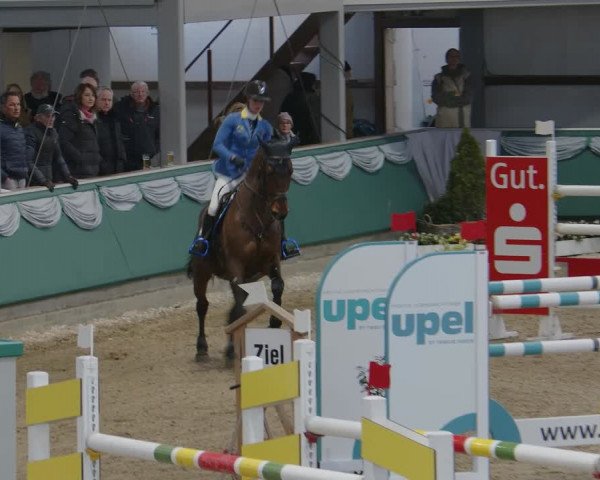 Reitturnier Gahlen 2024