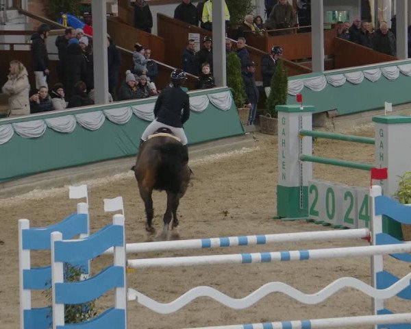Reitturnier Gahlen 2024