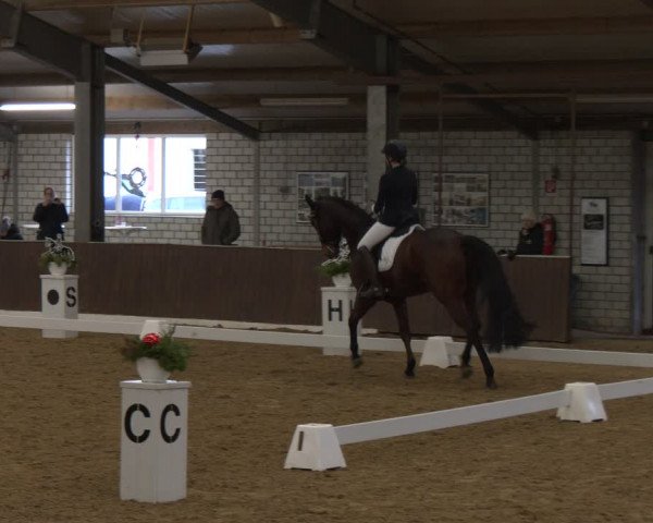 Reitturnier Bottrop-Kirchhellen 2024