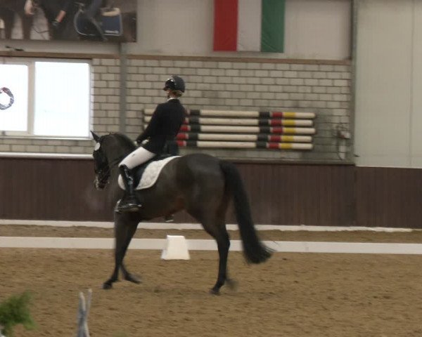 Reitturnier Bottrop-Kirchhellen 2024