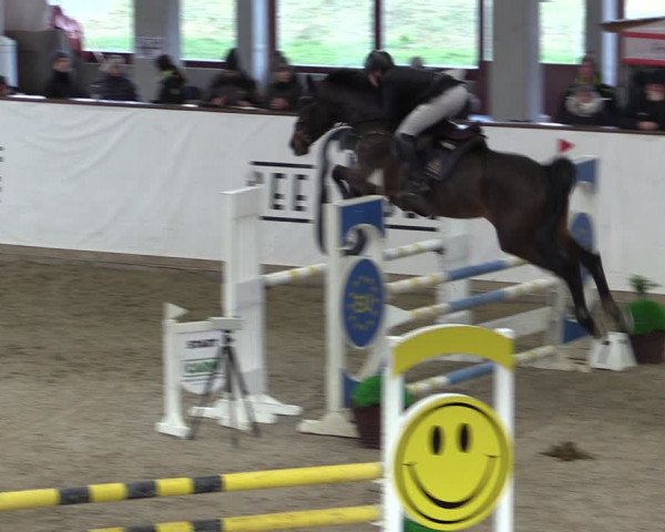 Reitturnier Prussendorf 2024