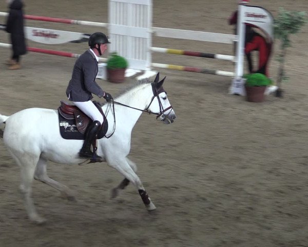 Reitturnier Prussendorf 2024