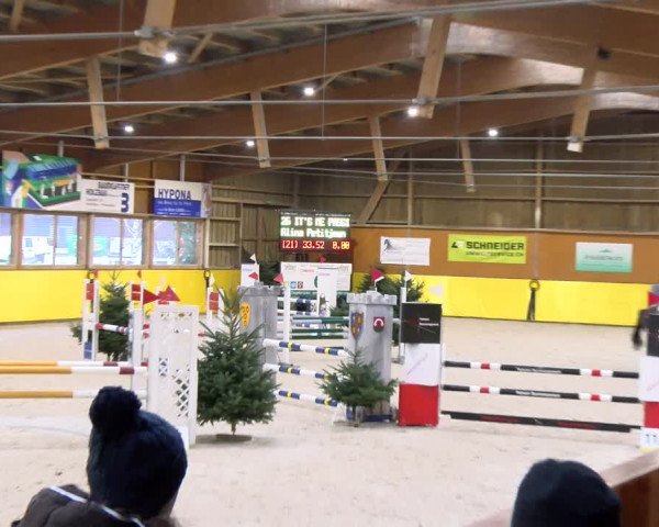 Reitturnier Dielsdorf 2024