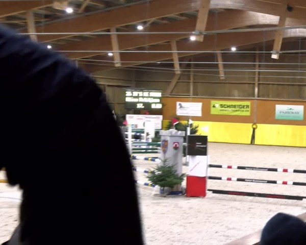 Reitturnier Dielsdorf 2024