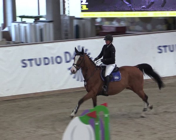 Reitturnier Prussendorf 2024