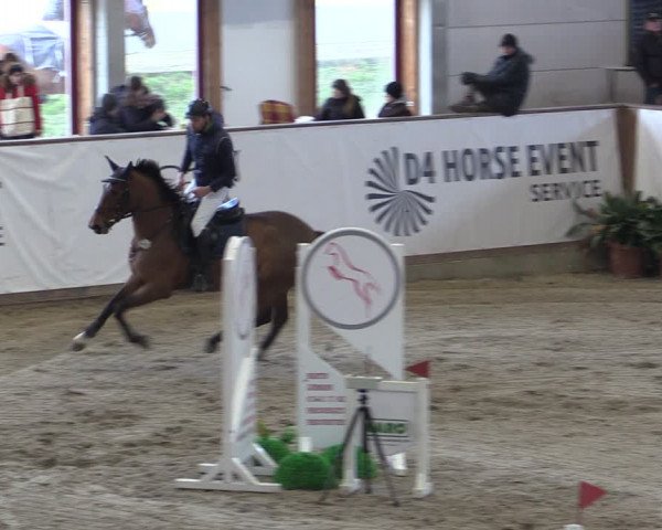 Reitturnier Prussendorf 2024