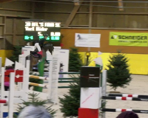 Reitturnier Dielsdorf 2024