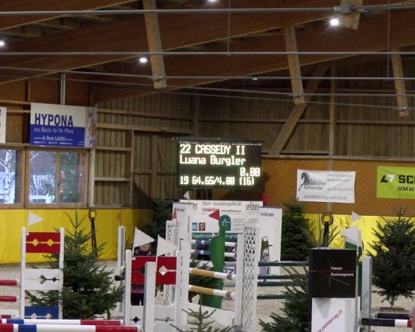 Reitturnier Dielsdorf 2024