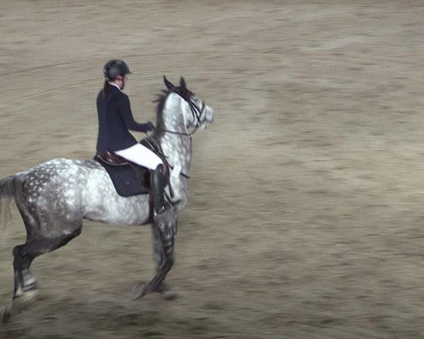 Reitturnier Prussendorf 2024