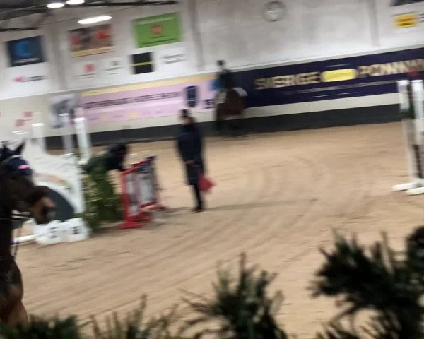 Video von Daik