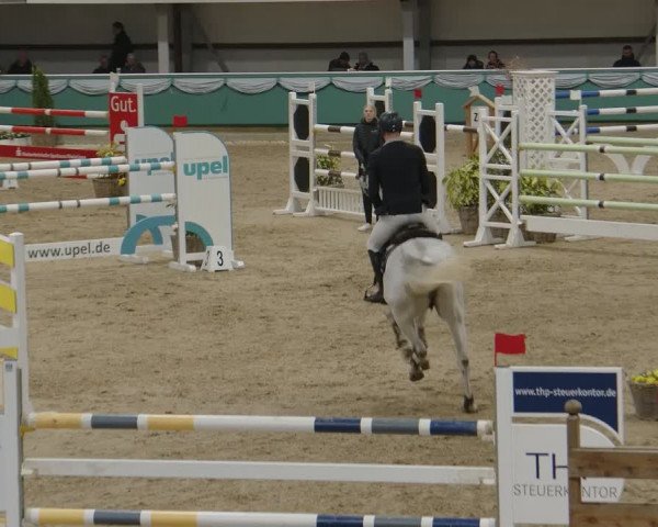 Reitturnier Gahlen 2024
