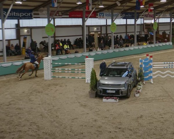 Reitturnier Gahlen 2024