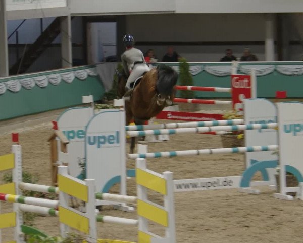 Reitturnier Gahlen 2024