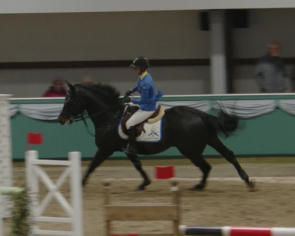 Reitturnier Gahlen 2024