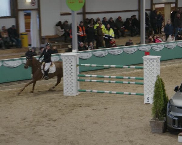 Reitturnier Gahlen 2024
