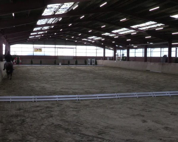 Reitturnier Ostenfelde-Vornholz 2024