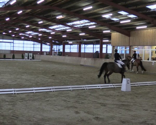Reitturnier Ostenfelde-Vornholz 2024