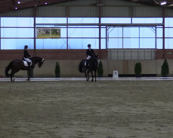 Reitturnier Ostenfelde-Vornholz 2024