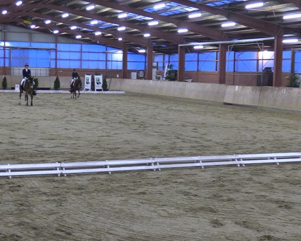 Reitturnier Ostenfelde-Vornholz 2024